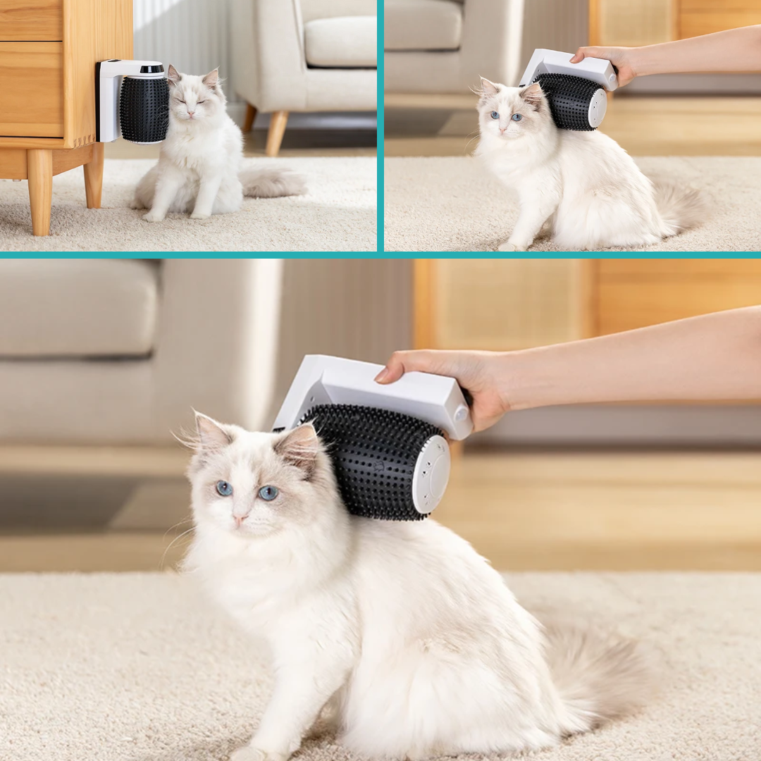 Massageador rotativo automático para gatos