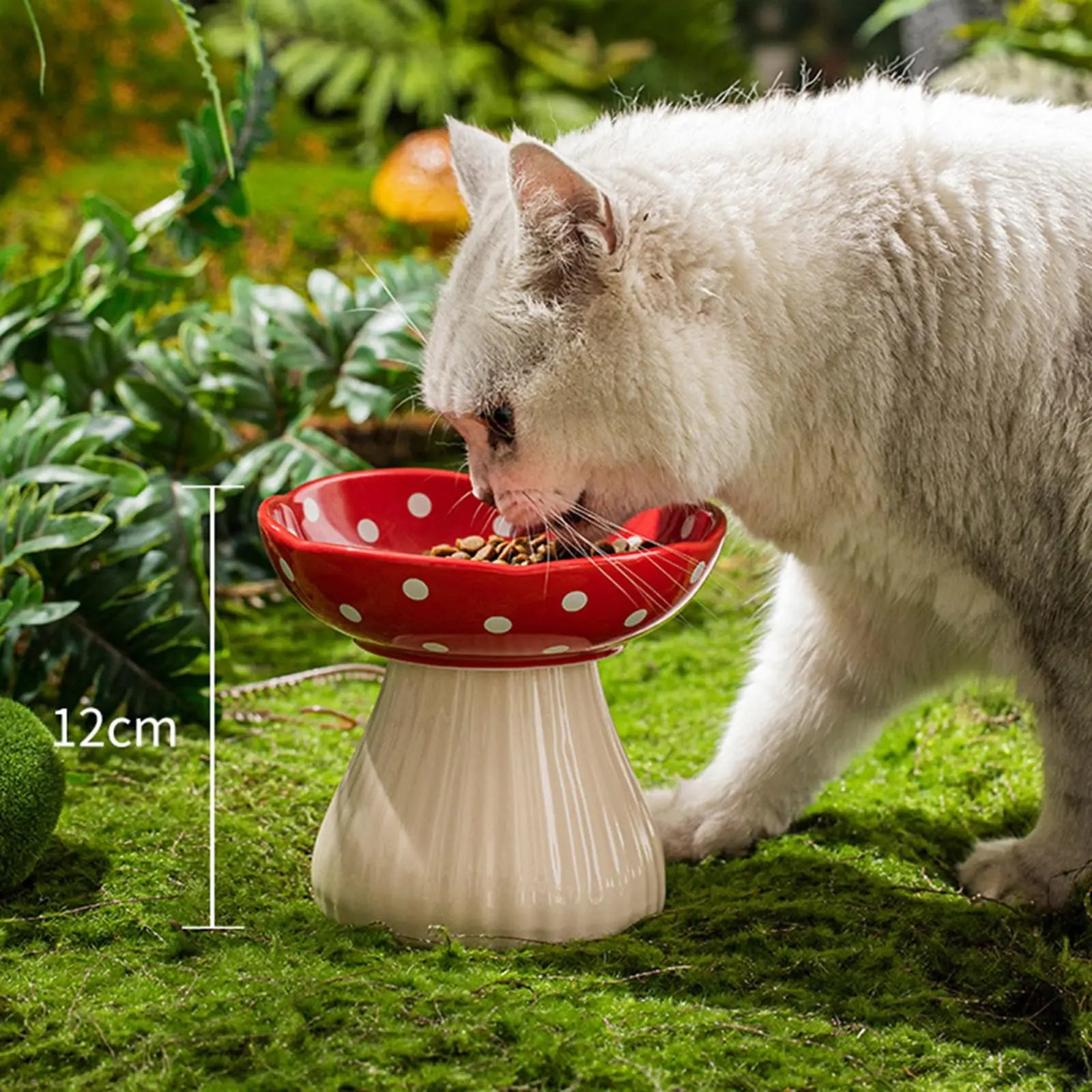 Tigela de Gato com Base Elevada - Cerâmica Cogumelo