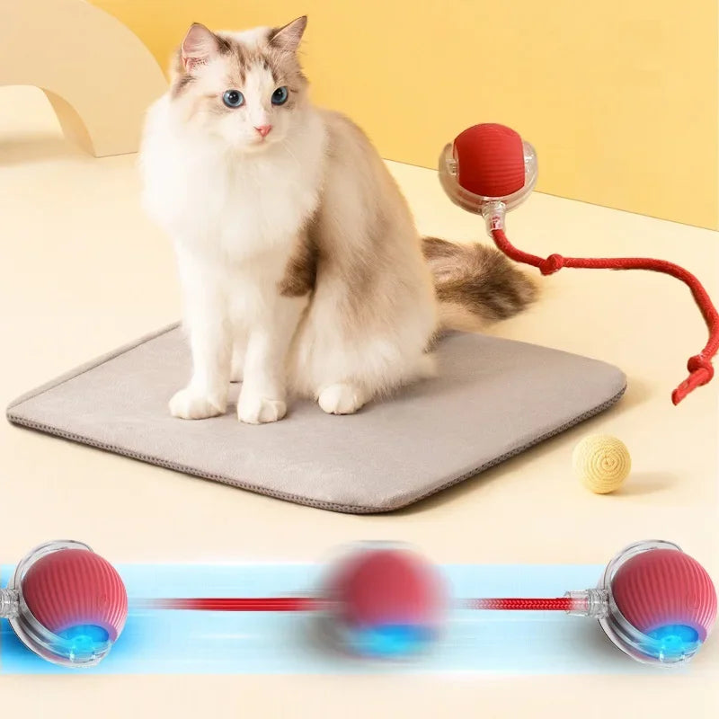 Bola Inteligente para Gatos - Brinquedo Elétrico