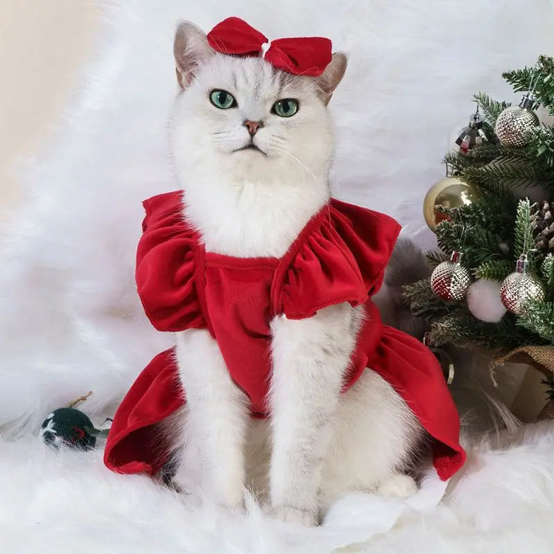 Vestido com laço - Roupa de Gato