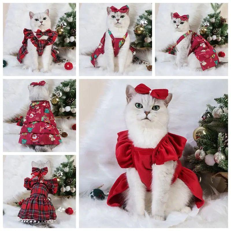 Vestido com laço - Roupa de Gato