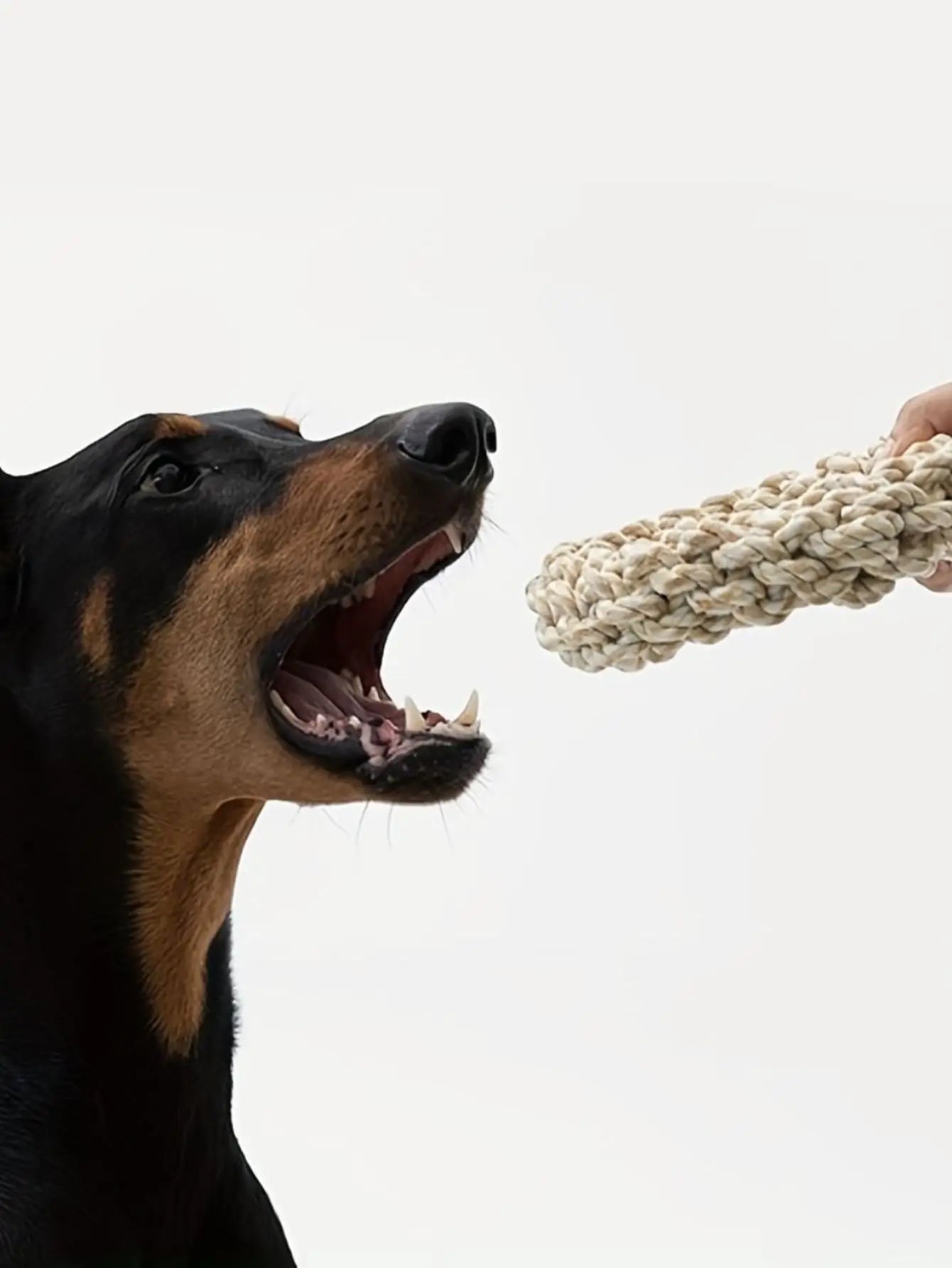 Brinquedo de Corda para Cães - Resistente e Durável